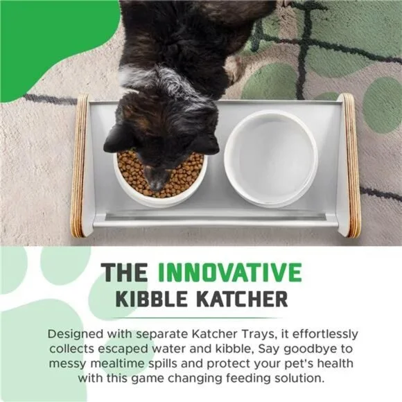 Modern Feeding Station for pets Dog and Cat Food Bowls Mess